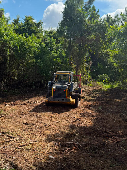 Forest Mulching